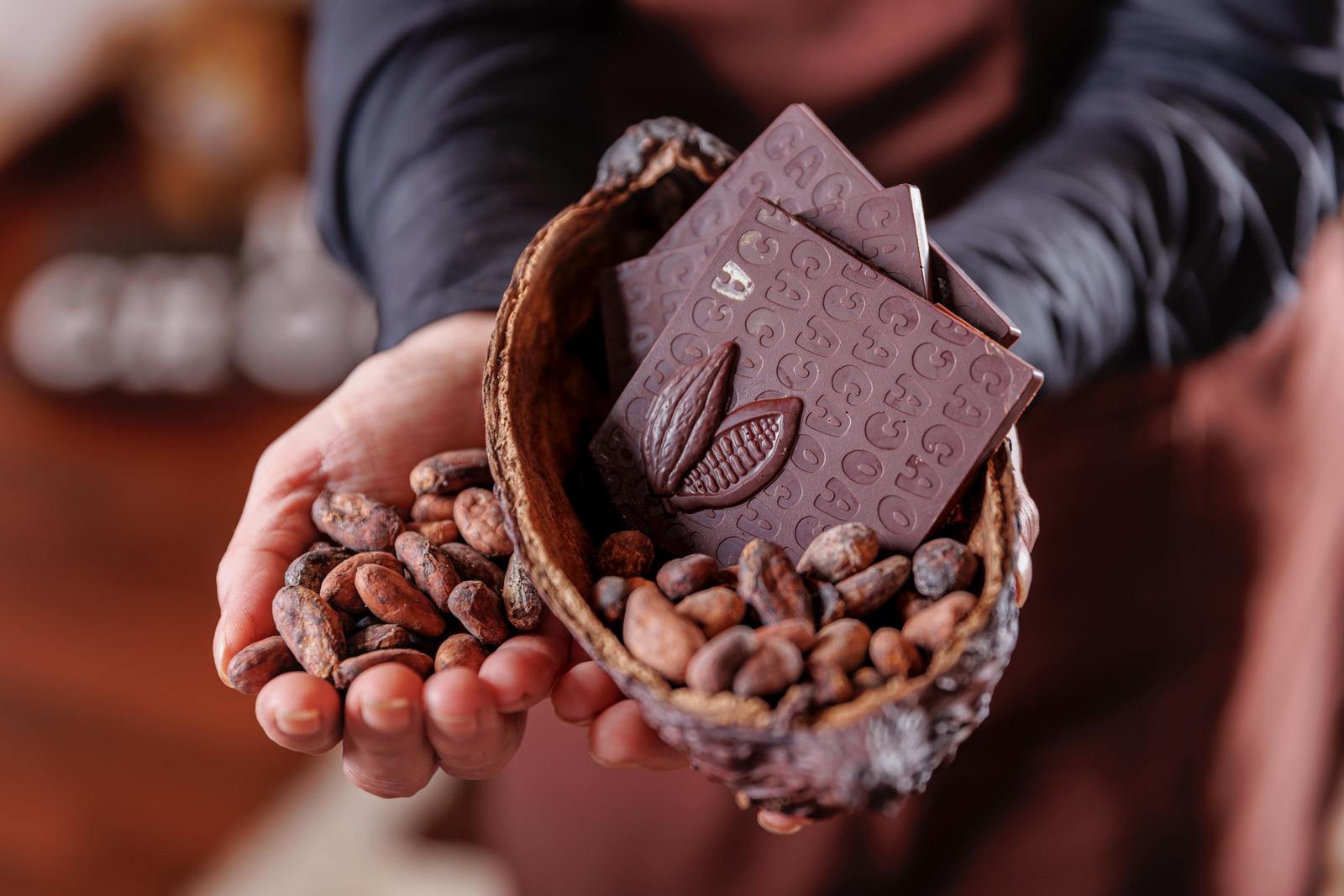 Scopri la bottega del Cioccolato